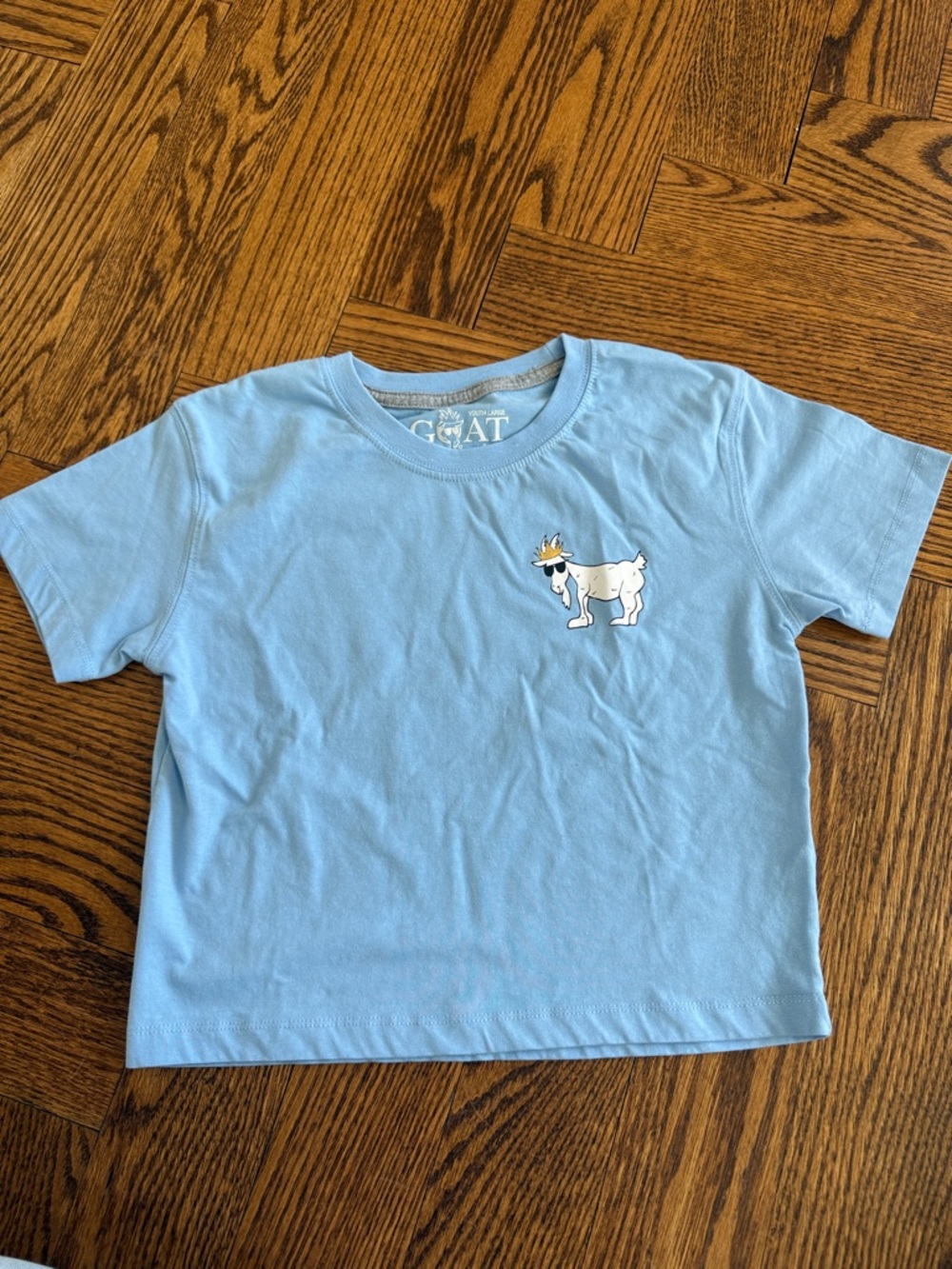 GOAT USA -  Blue Graphic Goat Tee - Light Blue Crewneck - Girls YL